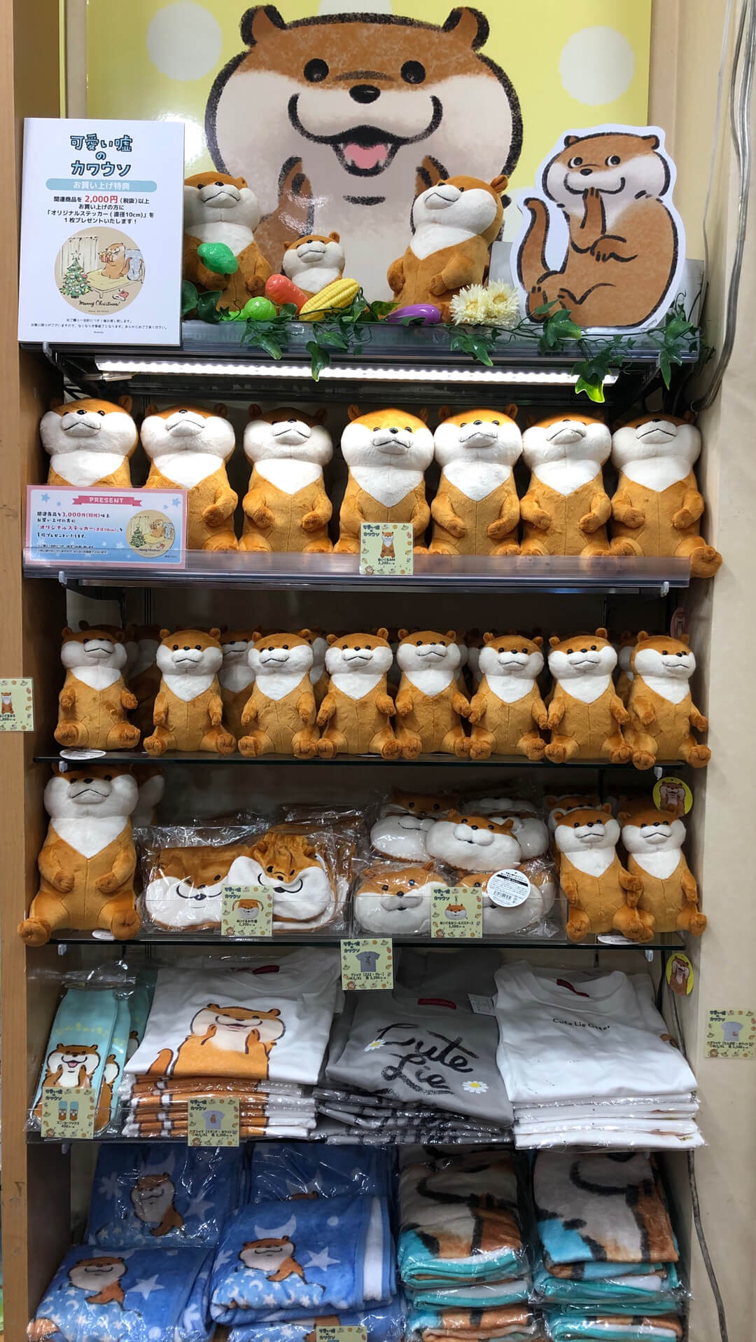 可愛い 嘘 の カワウソ キディ ランド