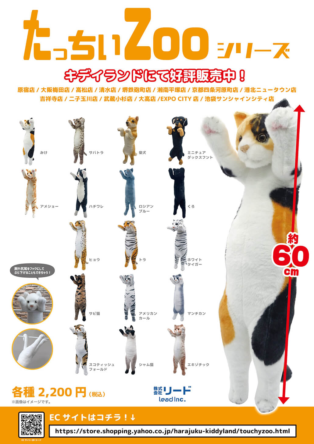 祝開店！大放出セール開催中 たっちいzoo にゃんこ シャム猫